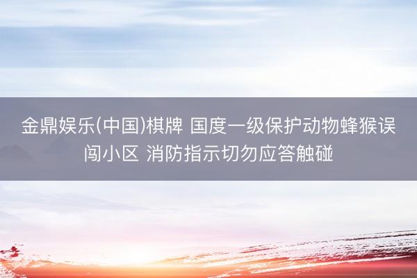 金鼎娱乐(中国)棋牌 国度一级保护动物蜂猴误闯小区 消防指示切勿应答触碰