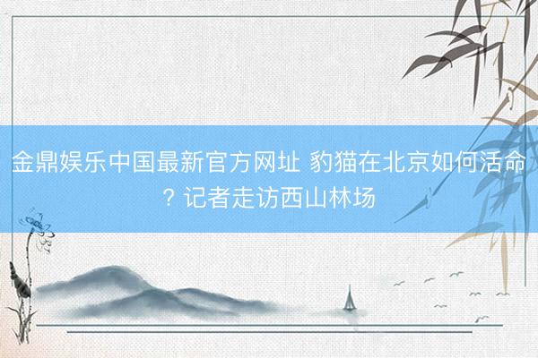 金鼎娱乐中国最新官方网址 豹猫在北京如何活命? 记者走访西山林场