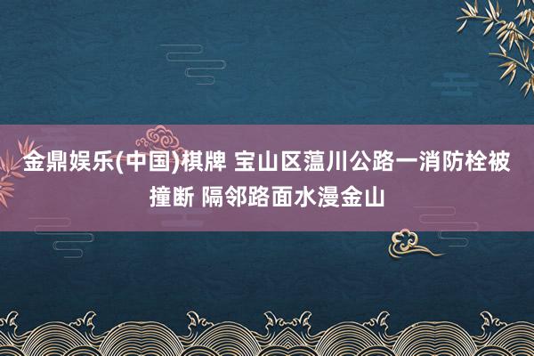 金鼎娱乐(中国)棋牌 宝山区蕰川公路一消防栓被撞断 隔邻路面水漫金山